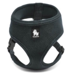 True Love Hvalpesele