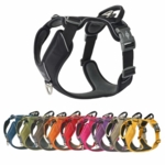 DOG Copenhagen Comfort Walk Pro hundesele