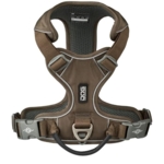 Hundesele i flot mocca farve med reflekser på.