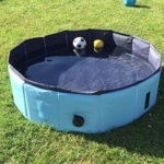 Hundepool | Et svømmebassin til din hund