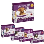 Vectra 3D Hund, 3 pipetter