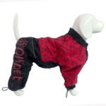 Ollipet lluvia Raincoat