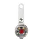 Ollipet LED Light in the dark