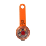 Ollipet LED Light in the dark