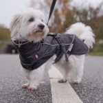 Trixie Brizon Vinterdækken | OUTLET