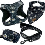 Pakketilbud | Ollipet City Lux sæt | Margueritter