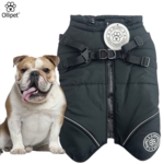 Ollipet Sirius Strong Body Dynejakke | M. Sele