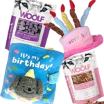 Pakketilbud | Fødselsdagspakke til Pigehunden