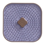 Companion TPR Slikkeplade går din hunds måltid endnu sjovere