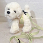 Pakketilbud | Ollie m. Sele og Hundesnor 