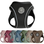 Ollipet For Wagging Tails | Step in Sele