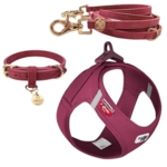 Pakketilbud | Curli Sele, Ollipet Halsbånd og Snor | Ruby