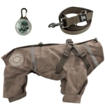 Pakketilbud | Ollipet Aqua regndragt, hundesnor og lygte