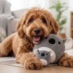 Nordic Paws Flompie Koala