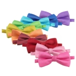 Silkebutterfly med prikker / Ollipet