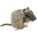 Rotten Benny| Naturtro